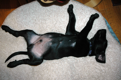 Good Nap.