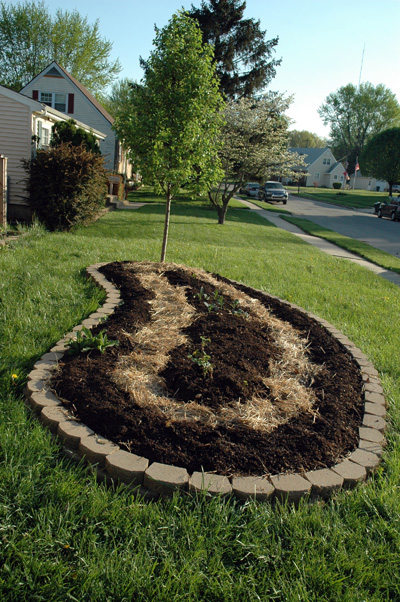 Cedar\'s Garden, April 2009