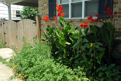 gardenjuly29082