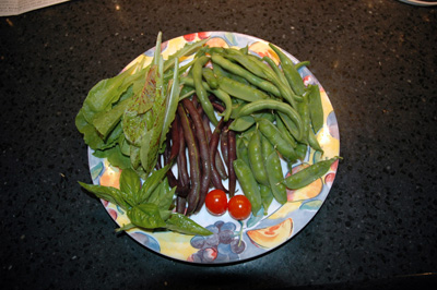 From Cedar\'s Garden, June 2009