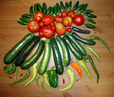 harvest 7/7/07