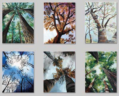 Magnet Sampler Pack
