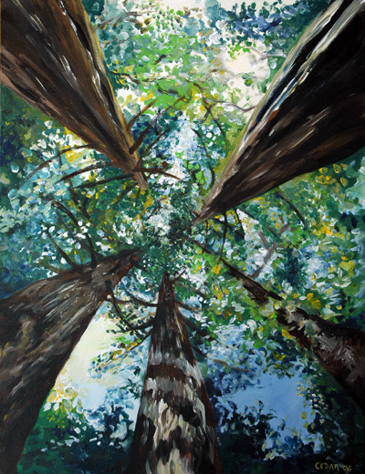 Reaching for the Sky 2