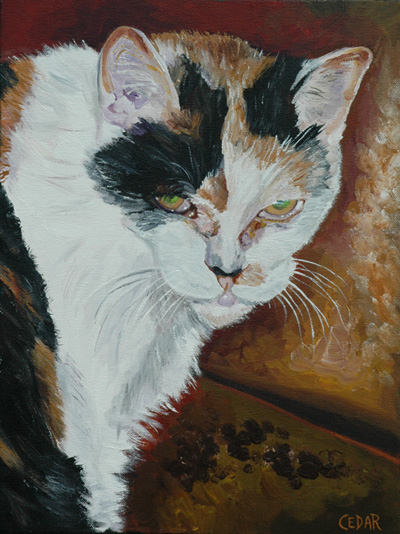 Cat Portrait by Cedar Lee: Sassy