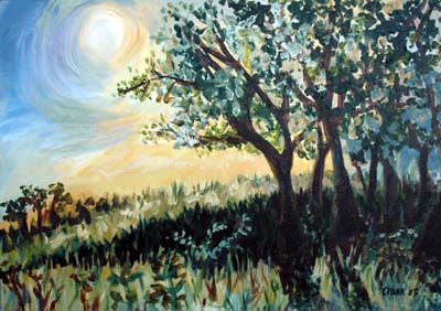 Trees in a Sunlit Field