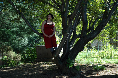 Pregnant in Tree