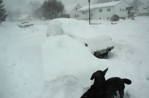 snowmageddon9