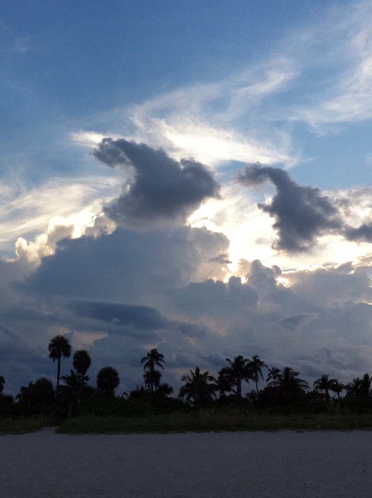 Miami Beach