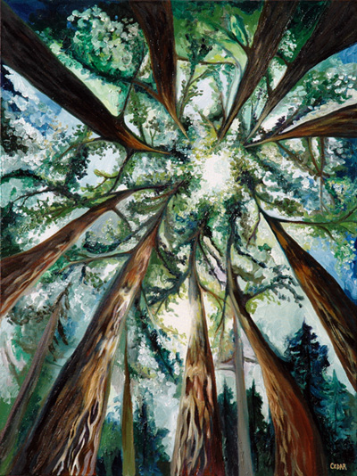 Forest Cathedral: Painting by Cedar Lee