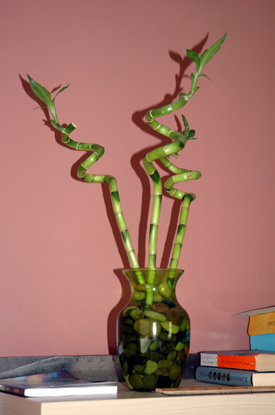 luckybamboo