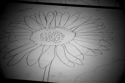 Sunflower Drawing