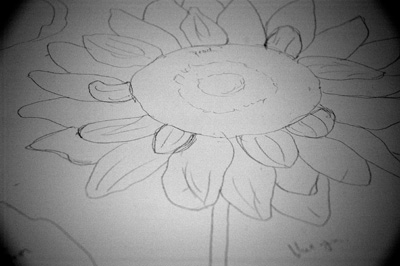 Sunflower Drawing