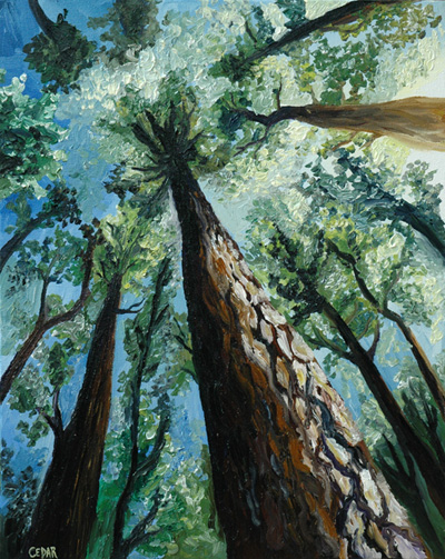 Painting by Cedar Lee, Looking Up Series: Towering Trunk II