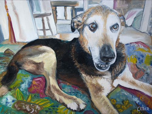 Joey at Home. 12" x  16", Oil on Canvas, © 2019 Cedar Lee