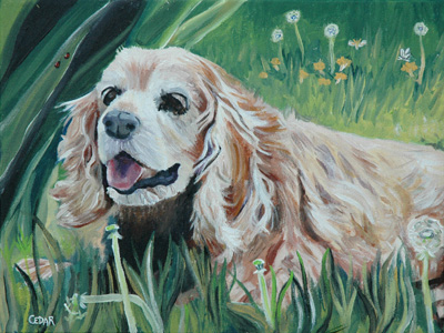 Boomer. 12" x 16", Acrylic on Canvas, © 2007 Cedar Lee