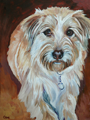 Buddy. 16" x 12", Acrylic on Canvas, © 2007 Cedar Lee