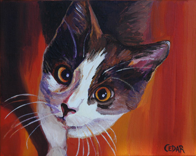 Curious Kitten.  8" x 10", Acrylic on Canvas, © 2008 Cedar Lee