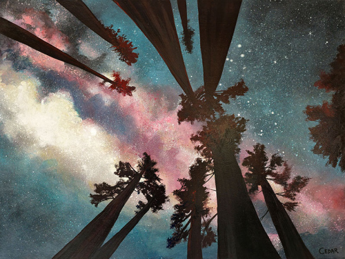 Pink Galaxy, Redwood Night. 30" x 40", Acrylic on Wood, © 2025 Cedar Lee