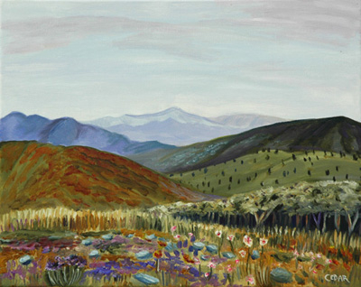 Blossoming Hills. 16" x 20", Oil on Canvas, © 2007 Cedar Lee