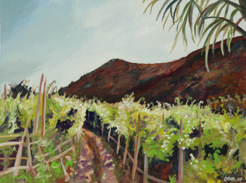 Ischian Vineyard. 18" x 24", Acrylic on Canvas, © 2007 Cedar Lee