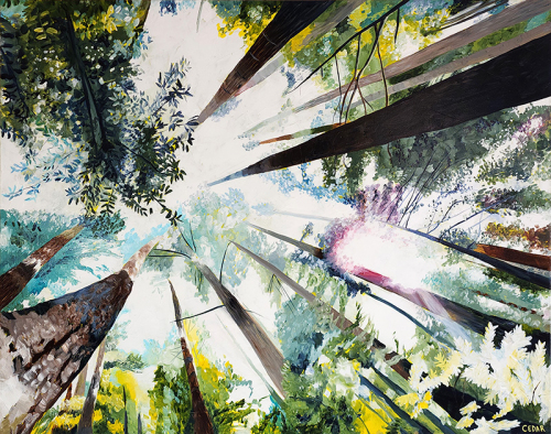 Coastal Redwoods. 40" x 50", Acrylic on Canvas, © 2023 Cedar Lee