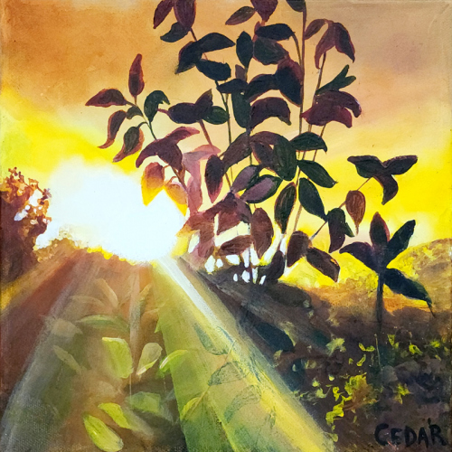 Costa Rica Sunset. 10" x 10",  Acrylic on Canvas, © 2024 Cedar Lee