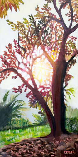 Costa Rica Tree.  20" x 10",  Acrylic on Canvas, © 2024 Cedar Lee