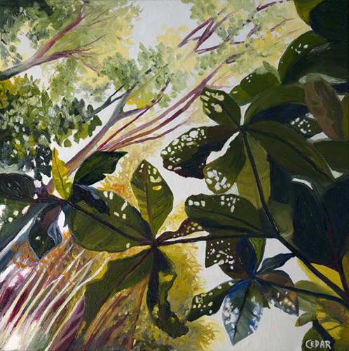 Jungle Lace. 16" x 16",  Oil on Canvas, © 2018 Cedar Lee