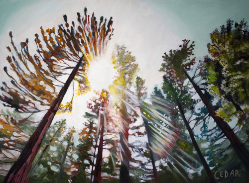 King's Canyon Sun. 30" x 40", Oil on Canvas, © 2020 Cedar Lee