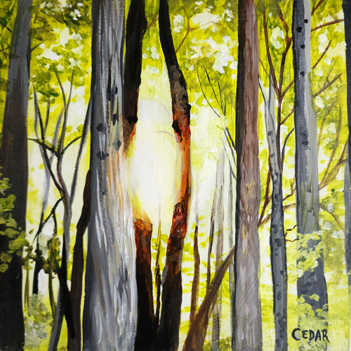 Light Between Trees.  8" x 8", Acrylic on Wood, © 2023 Cedar Lee