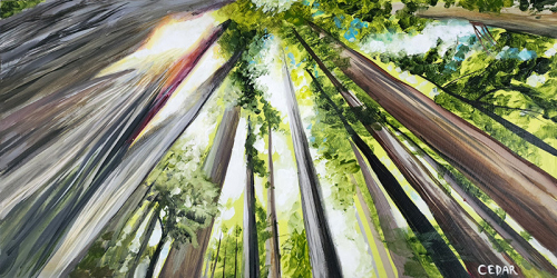 Luminous Redwoods. 10" x 20", Acrylic on Wood, © 2023 Cedar Lee