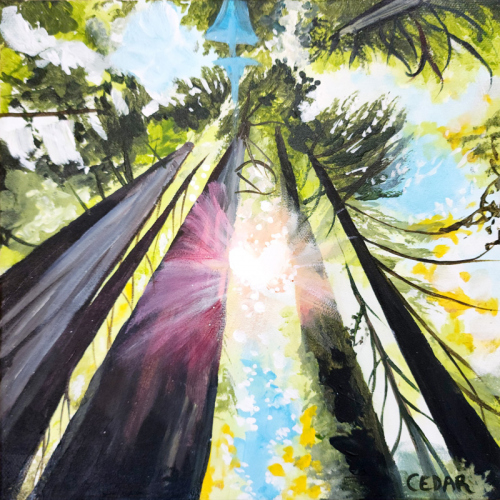 Redwood Love 2. 10" x 10",  Acrylic on Canvas, © 2024 Cedar Lee