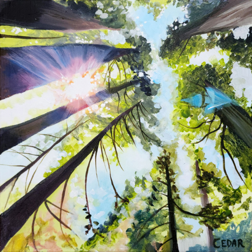 Redwood Love 3. 10" x 10",  Acrylic on Canvas, © 2024 Cedar Lee