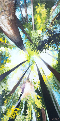 Redwood Love. 20" x 10",  Acrylic on Canvas, © 2024 Cedar Lee