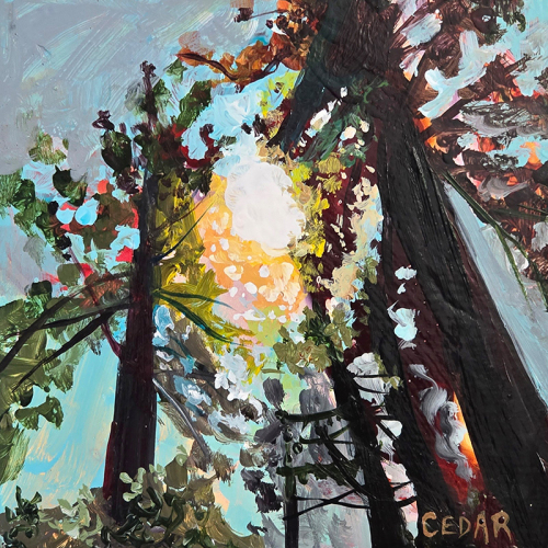 Study of Sun and Redwoods. 6" x 6", Acrylic on Wood, © 2025 Cedar Lee Study of Sun and Redwoods. 6" x 6", Acrylic on Wood, © 2025 Cedar Lee