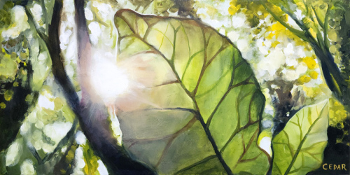 Sun Through Leaf. 10" x 20".  Acrylic on Canvas, © 2024 Cedar Lee