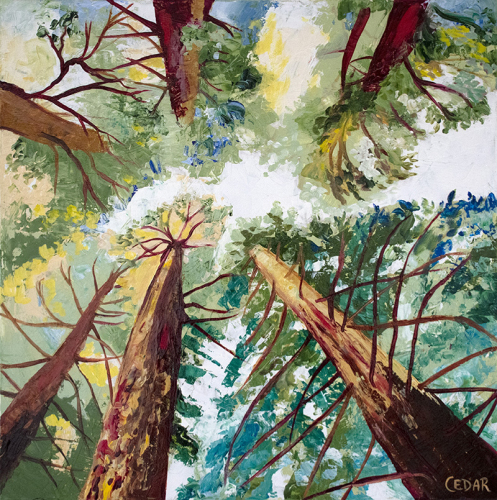 Warm Woods 2. 20″ x 20″, Acrylic on Canvas, © 2022 Cedar Lee