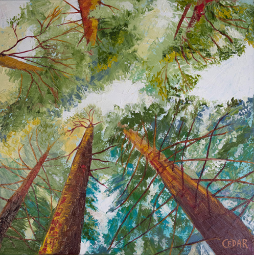 Warm Woods. 20" x 20", Oil on Canvas, © 2018 Cedar Lee
