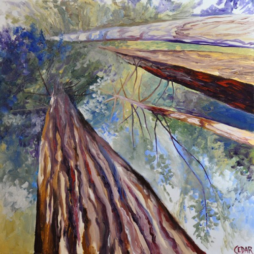Powerful Redwoods. 16" x 16", Oil on Wood, © 2014 Cedar Lee