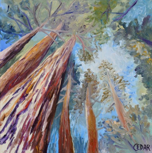 Study of Walk Under Redwoods. 10" x 10", Oil on Wood, © 2014 Cedar Lee