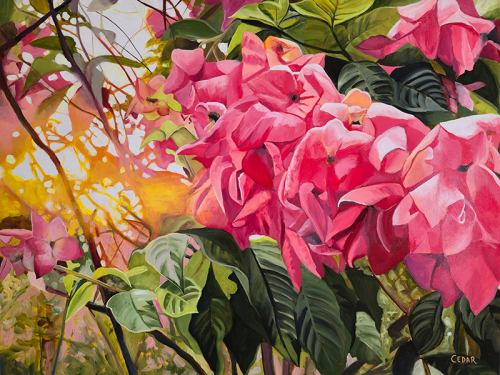 Pink Radiance. 30" x 40", Acrylic on Wood, © 2025 Cedar Lee