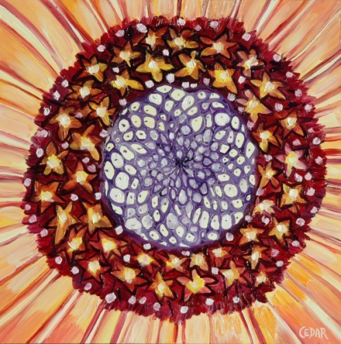 Sunflower Heart II. 16" x 16", Oil on Panel, © 2018 Cedar Lee