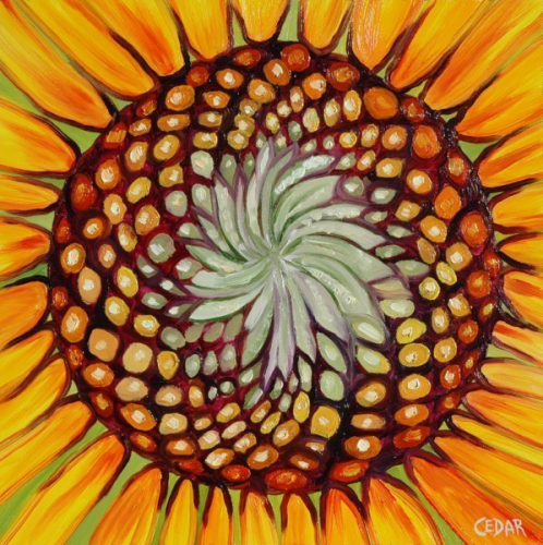 Sunflower Heart III. 16" x 16", Oil on Panel, © 2018 Cedar Lee