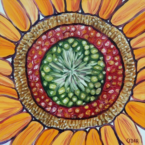 Sunflower Heart IX. 16" x 16", Oil on Panel, © 2018 Cedar Lee