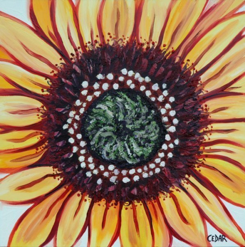 Sunflower Heart VI. 16" x 16", Oil on Panel, © 2018 Cedar Lee