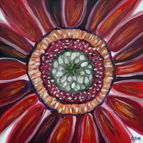 Sunflower Heart VII. 16" x 16", Oil on Panel, © 2018 Cedar Lee