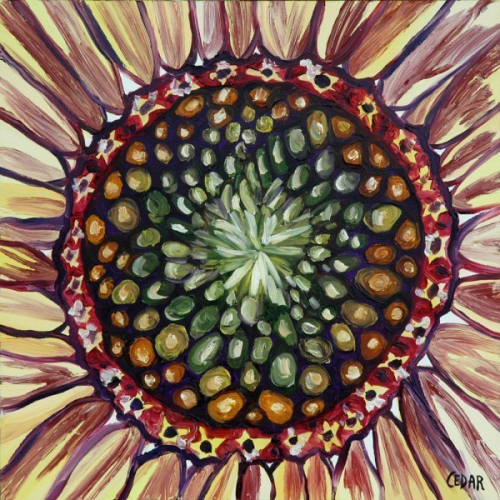 Sunflower Heart VIII. 16" x 16", Oil on Panel, © 2018 Cedar Lee