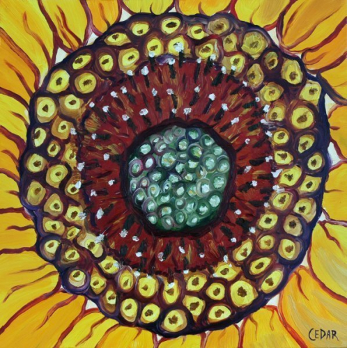 Sunflower Heart X. 16" x 16", Oil on Panel, © 2018 Cedar Lee