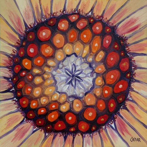 Sunflower Heart XI. 16" x 16", Oil on Panel, © 2018 Cedar Lee