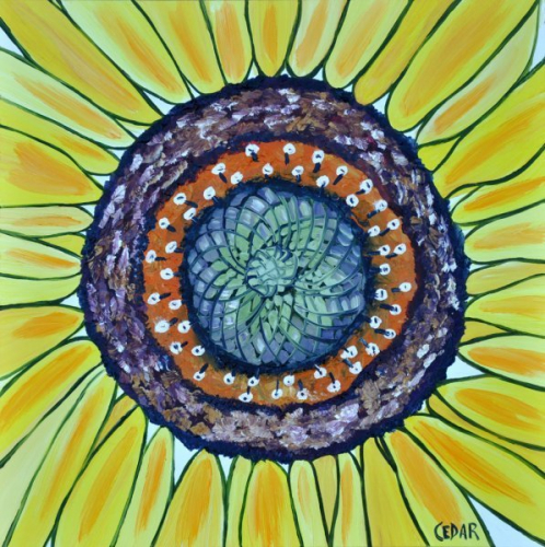 Sunflower Heart XIII. 16" x 16", Oil on Panel, © 2018 Cedar Lee